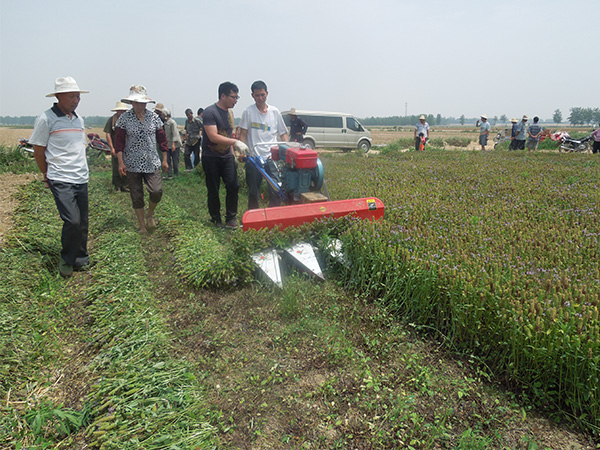 夏枯草收割機(jī)多少錢(qián)一臺(tái)