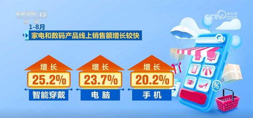 前8個(gè)月我國(guó)電子商務(wù)保持健康較快發(fā)展 消費(fèi)活力持續(xù)激發(fā) 數(shù)字內(nèi)容制作服務(wù)創(chuàng)新升級(jí)